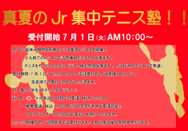 スクリーンショット (141)